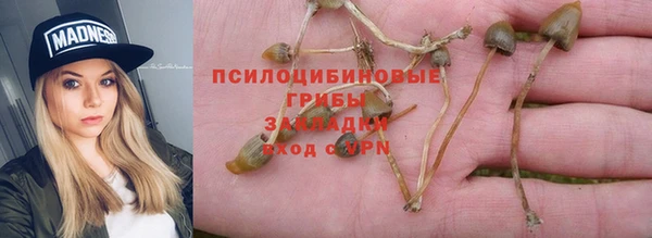 винт Алексеевка
