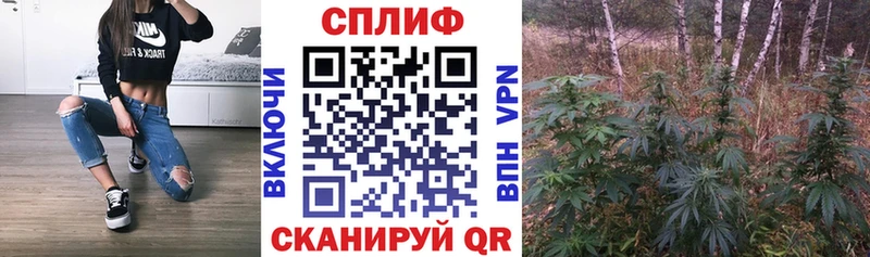 Бошки Шишки White Widow  Тимашёвск 